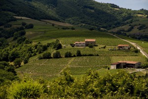 Beaujolais_Wine_country