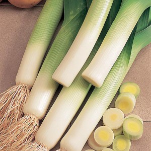 Leek Lyon 2 - Prizetaker