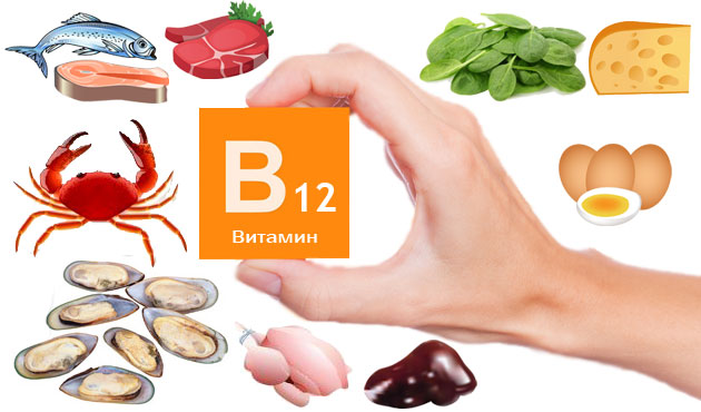 vitamin-b12