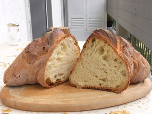 pane-matera