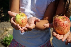 fruit-children