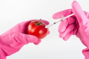 gmo pix