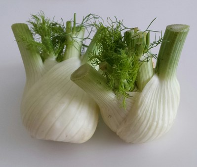 fennel pix 3