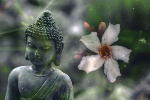 buddha pix