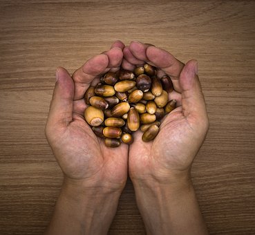 nuts hands pix