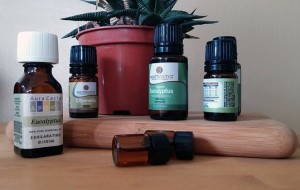 Eucalyptus oil pix