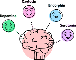 hormones of happiness