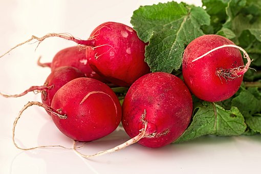 repichki radish pix